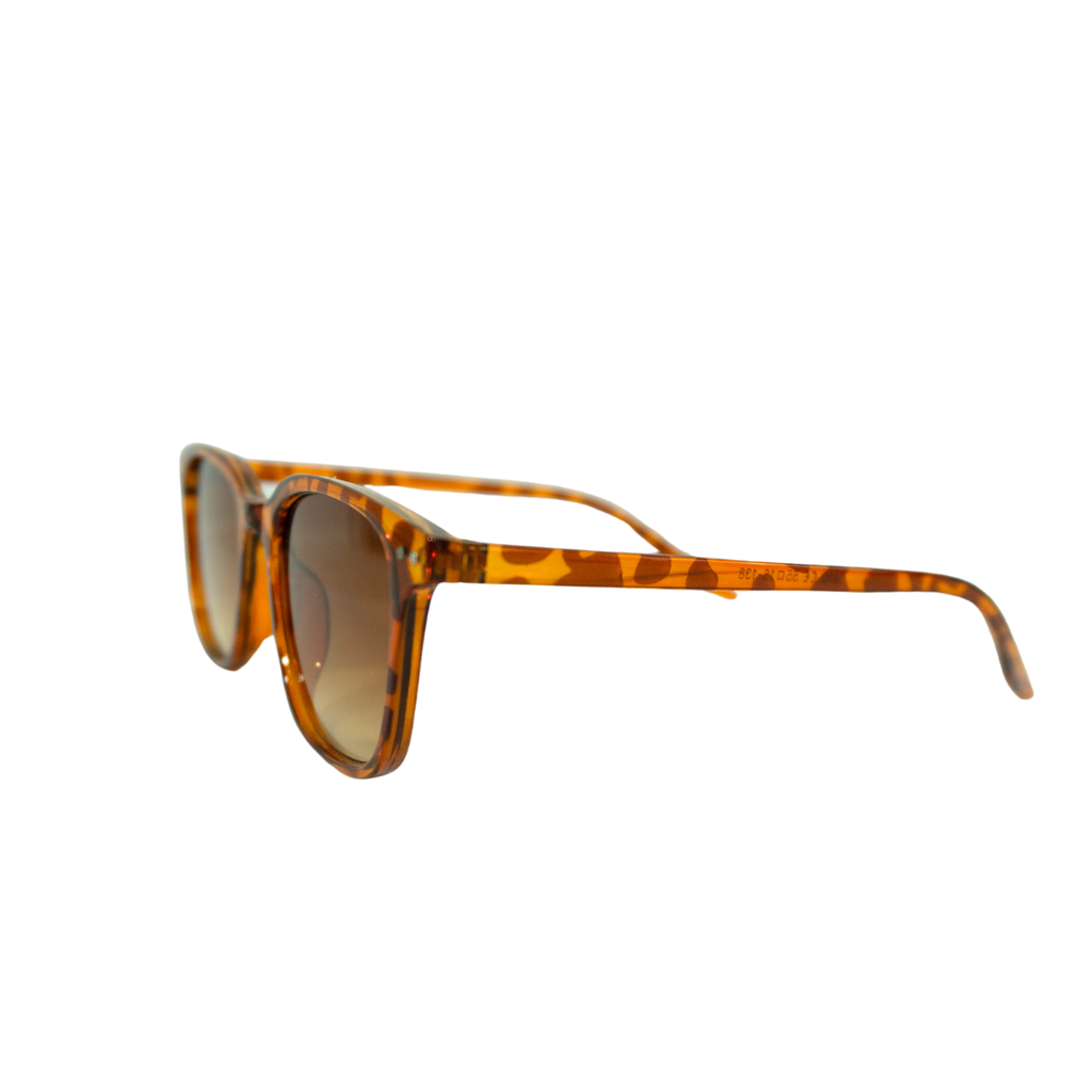 LENTES DE SOL WAYFARER