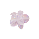 PINZA