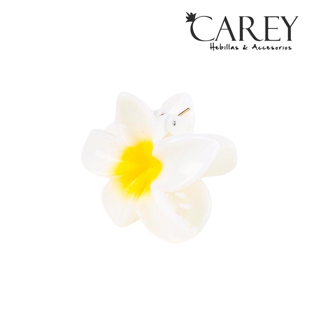 PINZA HAWAIANA CHICA