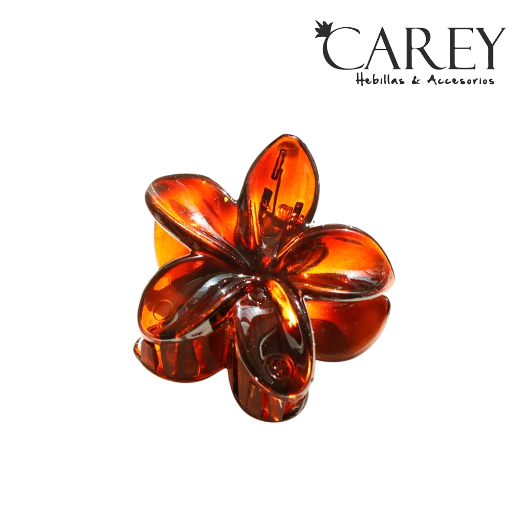 HAWAIANA CHICA CAREY