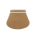 VISERA DE RAFIA