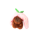 MONEDERO FRUTA CON CAPIBARA DENTRO