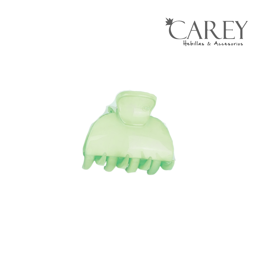 PINZA BROCHE CAREY BOMBE GRANDE