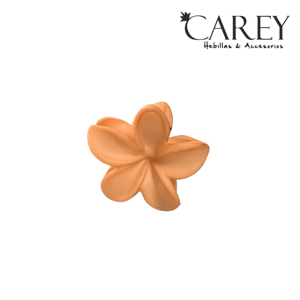 BROCHE PINZA CHICA HAWAIANA CAREY