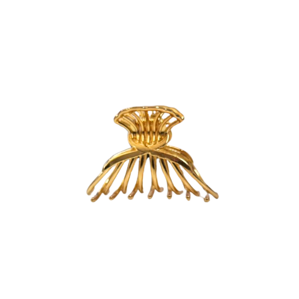 BROCHE PINZA FORMA ALMEJA