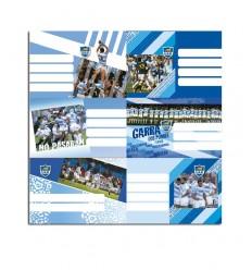 ETIQUETAS LOS PUMAS MOOVING