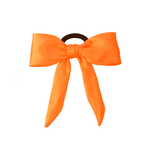 [42438] COLERO SCUNZI MOÑO RASO LISO