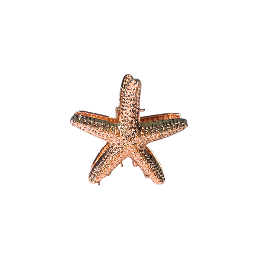 BROCHE PINZA FORMA DE ESTRELLA